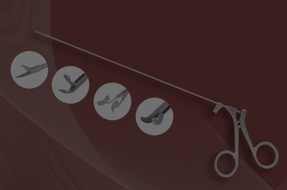 Instrumental de Laringe